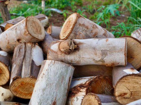 Téléchargez les photos : The Logs, fond de texture bois naturel. eucalyptus de billes de bois de chauffage hachées. Matériel de cheminée ou de poêle. - en image libre de droit