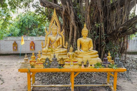 Buddha Statue banyan Baumhintergrund im Wat Nongtakrong Park des thailändischen Tempels, Sonkran-Festtag in Thailand.