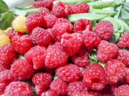 Photo for Fresh, summer berries - green peas in pods and red raspberries. Healthy legumes are in the summer. Green peas are in the same bowl with red raspberries. - Royalty Free Image
