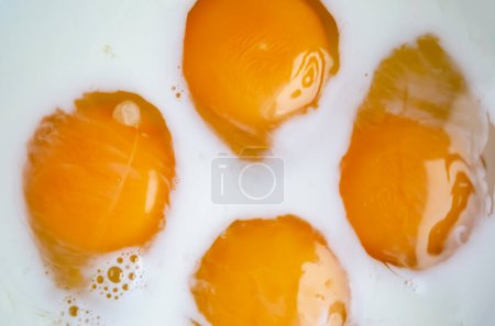 Spread the yolks on the white milk - making an omelet. Bright yellow yolks in white milk.