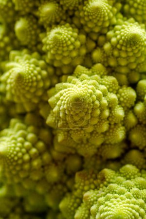 Foto de Macro shot de un Romanesco Brassica oleracea cauliflowe - Imagen libre de derechos