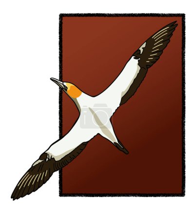 Illustration for Isolated flying gannet in the sky. Vector illustration. - Royalty Free Image