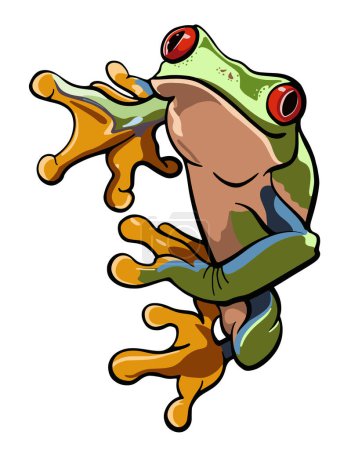 Illustration for Cartoon red eye frog. Vector illustration. - Royalty Free Image