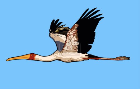 Téléchargez les illustrations : Illustration d'oiseau volant vecteur (Grue blanche). - en licence libre de droit