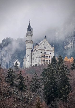 Téléchargez les photos : Château de Neuschwanstein en hiver. Château de cygne sur le rocher. Carte. Photographie - en image libre de droit