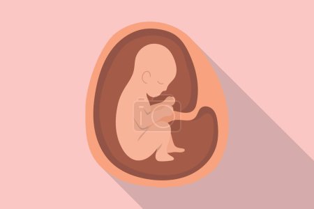 Téléchargez les illustrations : Embrio bébé utérin pour enceinte ou grossesse avec style plat moderne et illustration vectorielle longue ombre - en licence libre de droit