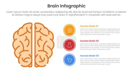 menschliches Gehirn Infografik-Vorlagenbanner mit Draufsicht und Kreis-Stapelbeschreibung mit 3-Punkt-Listeninformationen für Dia-Präsentationsvektor