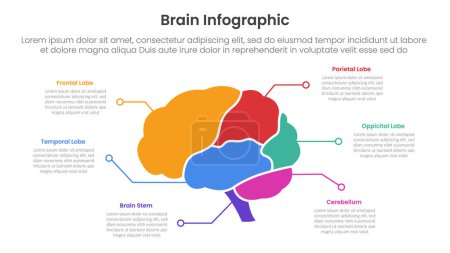 Infobanner für menschliches Gehirn mit Gehirnteilen und Linienpunktbeschreibung mit 6-Punkte-Listeninformationen für Diapräsentationsvektor