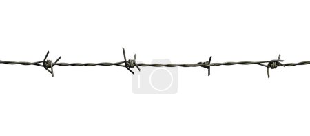 Photo for Barbed wire isolated on white background - Royalty Free Image
