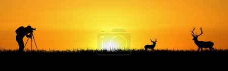 Téléchargez les photos : Homme faisant photo de cerf au coucher du soleil - en image libre de droit