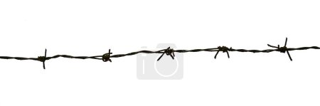 Téléchargez les photos : Barbed wires isolated on white background with clipping path - en image libre de droit