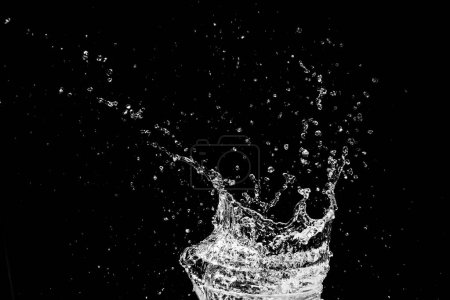 Photo for Water splash on black background for decorating projects - Royalty Free Image