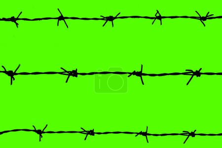 Photo for Barbed wires isolated on green background with clipping path - Royalty Free Image