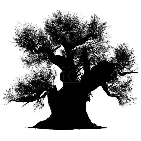 Foto de Silueta negra de baobab sobre fondo blanco - Imagen libre de derechos