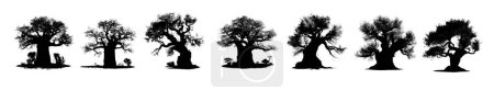Téléchargez les photos : Silhouette noire de baobabs sur fond blanc - en image libre de droit