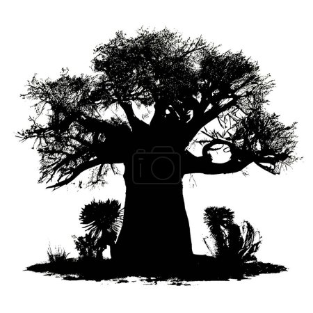 Téléchargez les photos : Silhouette noire de baobabs sur fond blanc - en image libre de droit