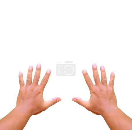 Téléchargez les photos : Femme montrant les mains sur fond blanc, gros plan - en image libre de droit