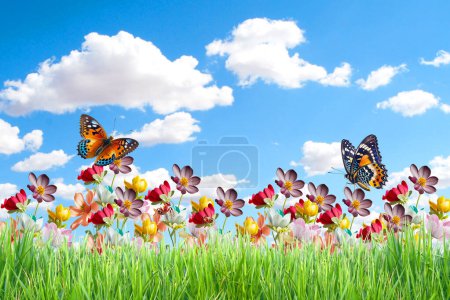 Foto de Hierba verde con flores y mariposas para fondo natural - Imagen libre de derechos