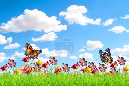 Foto de Hierba verde con flores y mariposas para fondo natural - Imagen libre de derechos