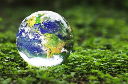 Téléchargez les photos : Globe sur les plantes vertes. Le concept d'aimer la terre et l'environnement. - en image libre de droit