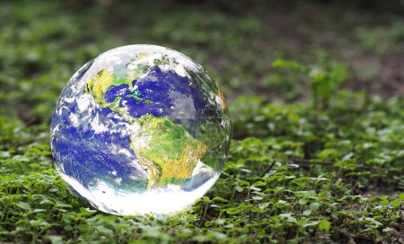 Téléchargez les photos : Globe sur les plantes vertes. Le concept d'aimer la terre et l'environnement. - en image libre de droit
