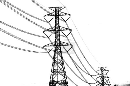 Téléchargez les photos : Lignes électriques à haute tension isolées sur fond blanc - en image libre de droit
