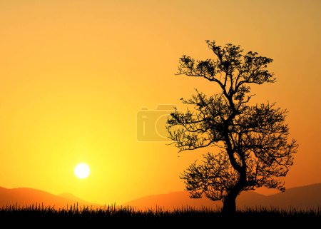 Téléchargez les photos : Silhouette d'arbre lors d'un beau coucher de soleil orange en montagne - en image libre de droit