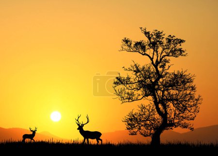 Téléchargez les photos : Silhouette de cerf près de l'arbre pendant le beau coucher de soleil orange - en image libre de droit
