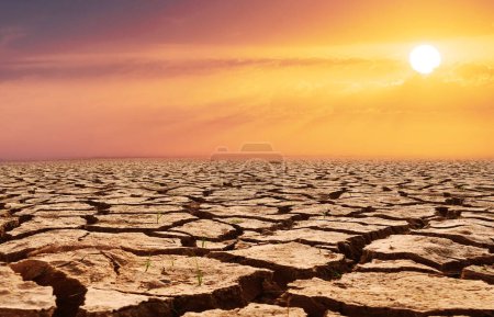 Foto de Tierra seca y agrietada de la escena del desastre natural, concepto de calentamiento global - Imagen libre de derechos