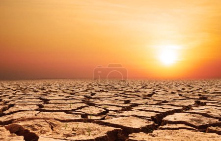 Foto de Tierra seca y agrietada de la escena del desastre natural, concepto de calentamiento global - Imagen libre de derechos
