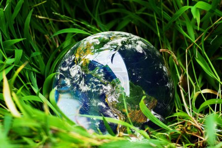 A crystal clear globe reflecting the Earth, nestled in lush green grass, symbolizing environmental conservation and the beauty of nature.