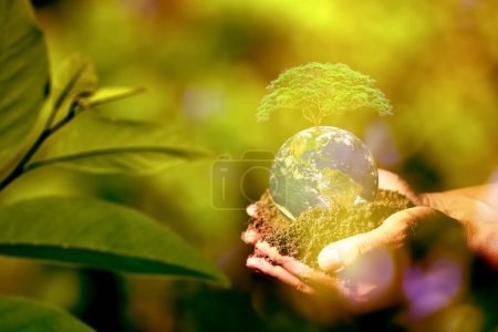 Manos sosteniendo la Tierra con un árbol creciendo en la parte superior, simbolizando la conservación del medio ambiente, la sostenibilidad y la protección de la naturaleza.