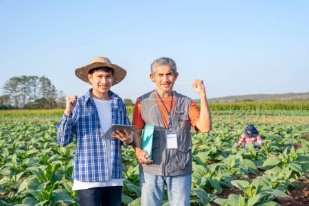 new generation farmer holds digital tablet,mature man researcher holds a document,standing and doing hand fist in tobacco growing area,a worker work in farm,research and innovation,modern agriculture