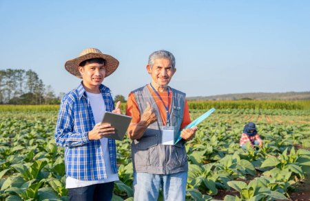 new generation farmer holds digital tablet,mature man researcher holds a document,standing and doing thumb up in tobacco growing area,a worker work in farm,research and innovation,modern agriculture