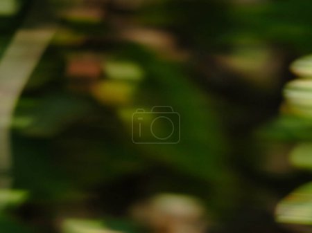 natural abstract background taken with camera in meadow outdoors