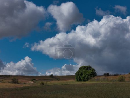 schöne Landschaft ländlicher Felder an einem schönen sonnigen Tag mit geschwollenen Wolken am Himmel