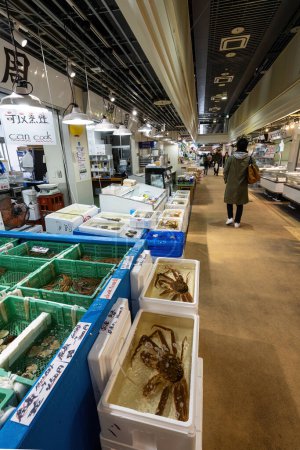 Téléchargez les photos : Tokyio, Japon. Janvier 2024. Des gens parmi les stands vendant du poisson frais au marché extérieur de Tsukiji dans le centre-ville - en image libre de droit