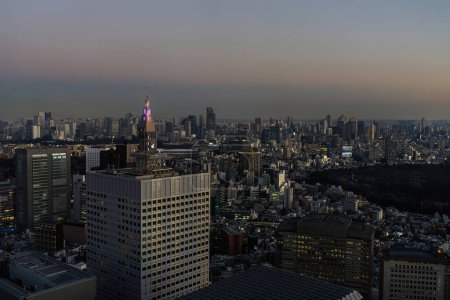 Tokio, Japonia. Styczeń 9, 2024. panoramiczny widok na miasto o zachodzie słońca z Tokyo Metropolitan Government Building North Observatory