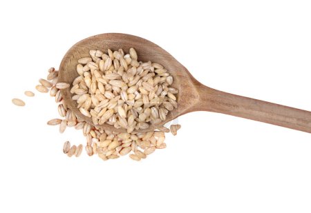 a small pile of barley on a wooden spoon