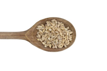 a small pile of barley on a wooden spoon