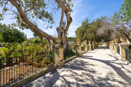 Photo for Valletta, Malta, April 03, 2024. the plants in the Argotti botanic gardens an resource center in Floriana - Royalty Free Image