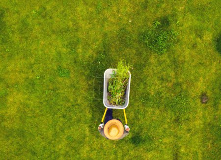 Foto de Un joven con las manos en guantes está llevando un carro de jardín de metal a través de su hermoso jardín verde en flor. Un jardinero profesional lleva una carretilla llena de hierba - Imagen libre de derechos