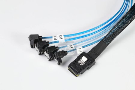 Foto de Mini cable de conversión SAS a SATA Serial ATA, azul con 90 grados de aislamiento objetivo sobre fondo blanco - Imagen libre de derechos