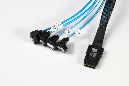 Foto de Mini cable de conversión SAS a SATA Serial ATA, azul con 90 grados de aislamiento objetivo sobre fondo blanco - Imagen libre de derechos