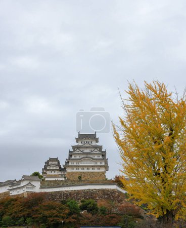 Photo for Himeji castle with autumn blue sky white cloud, frame one of japan's best destination for travel, Hyogo Japan. - Royalty Free Image