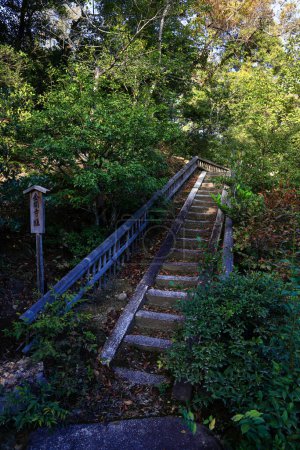Escalera de piedra conduce a la colina en el parque.