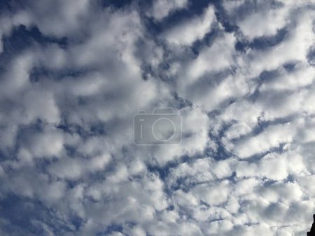 Photo for White clouds on a blue sky - Royalty Free Image