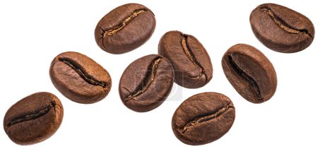 Falling coffee beans isolated on white background, full depth of field
