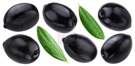 Schwarze Oliven und Blätter isoliert auf weißem Hintergrund mit Schnittpfad, Sammlung