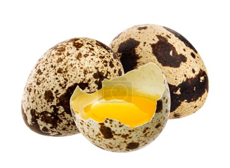 Photo for Quail eggs isolated on white background with clipping path - Royalty Free Image